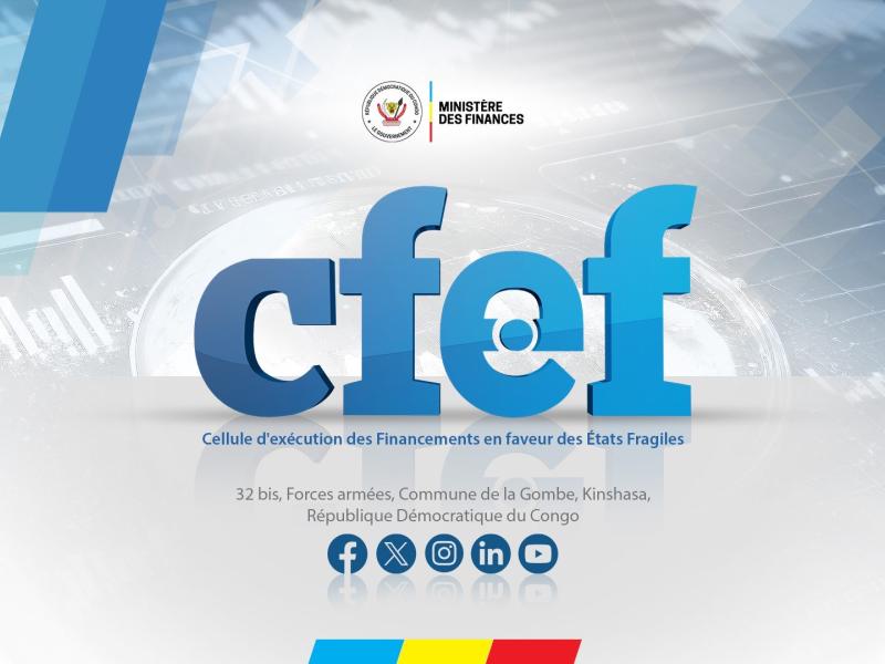 Logo de CFEF