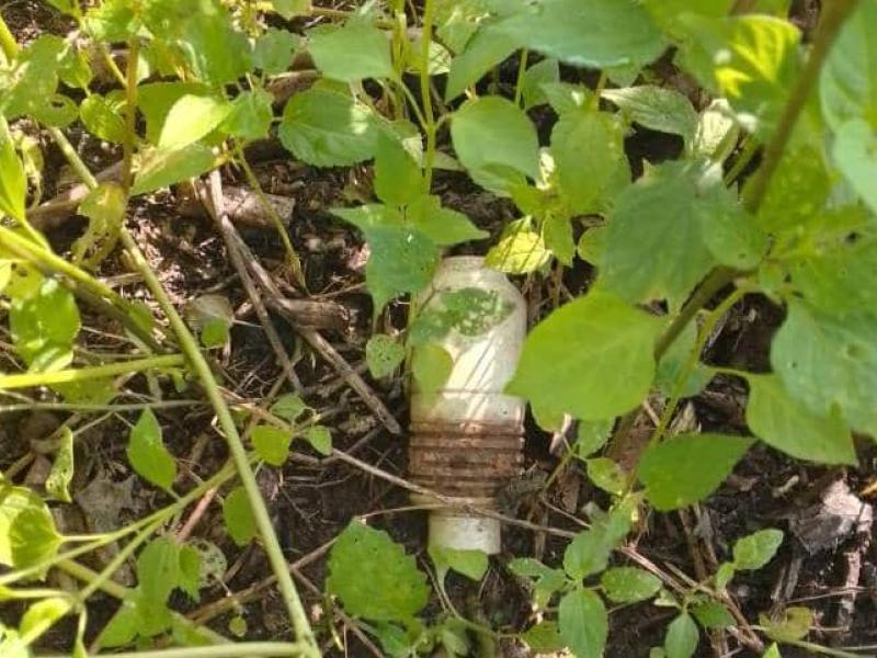 Image d'illustration 