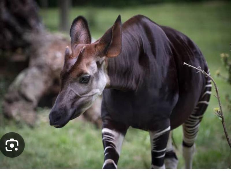 Image d'illustration 