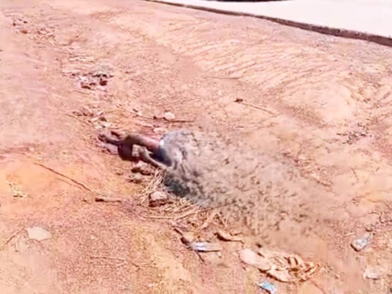 Image d'illustration 