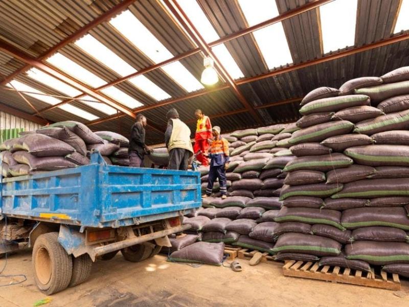 Image d'illustration 