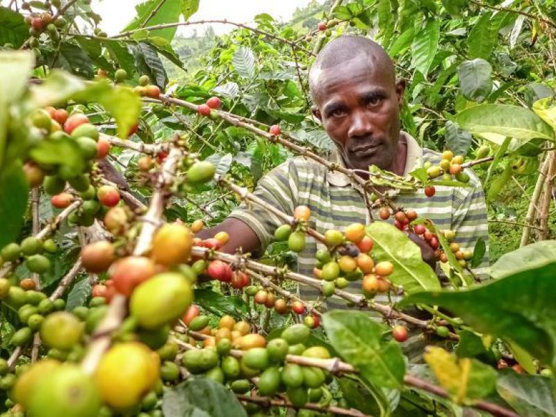 Image d'illustration 