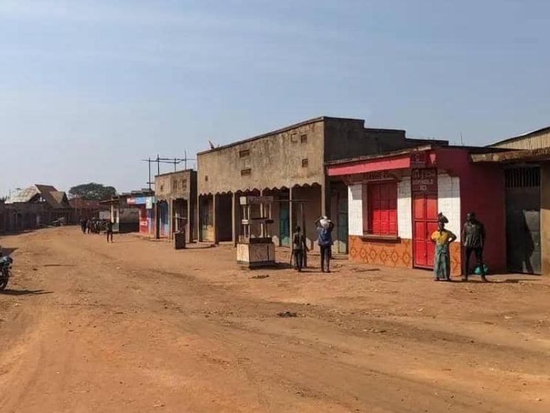 Image d'illustration 