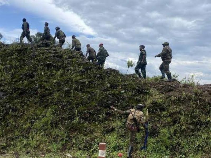 Image d'illustration 