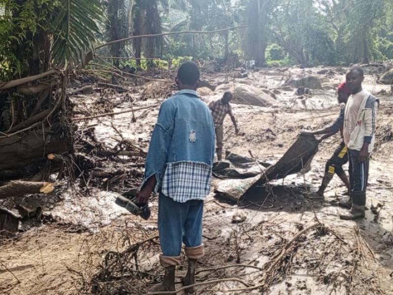 Image d'illustration 