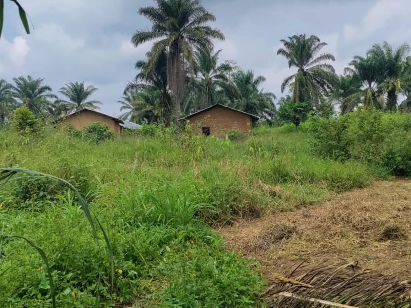 Image d'illustration 