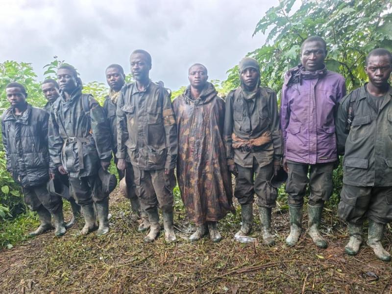 Image d'illustration 