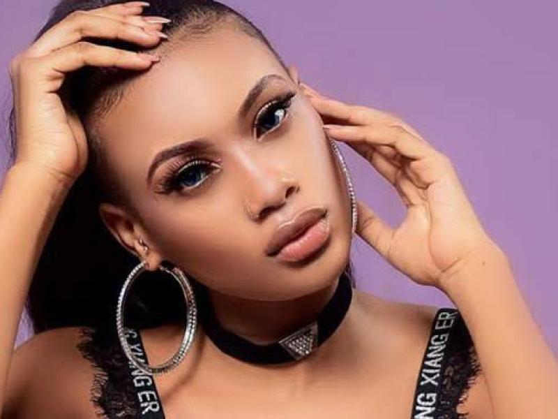 Image d'illustration 