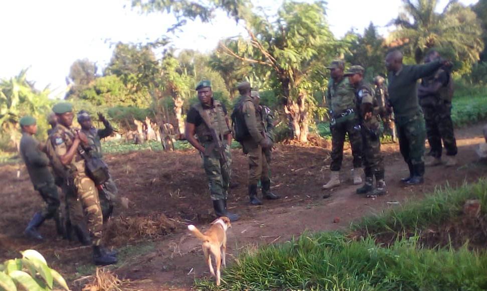 Les FARDC à Beni 