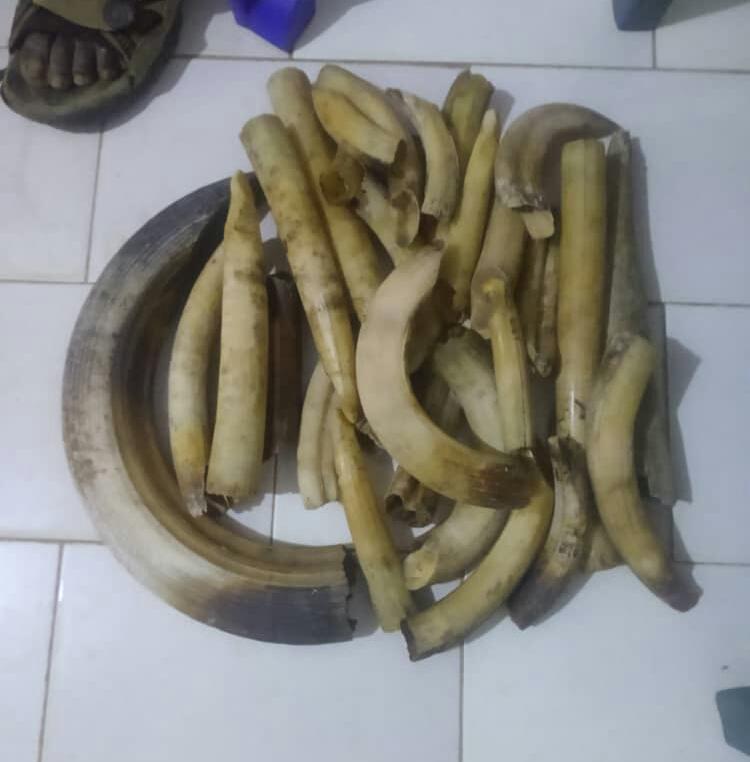 7sursept