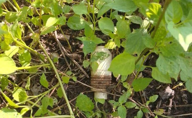 Image d'illustration 