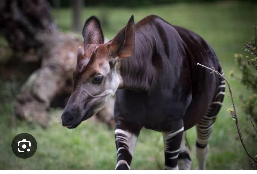 Image d'illustration 