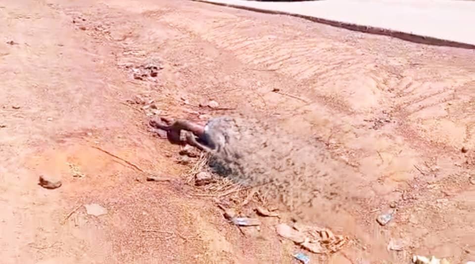 Image d'illustration 