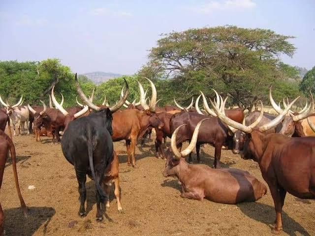 Image d'illustration 